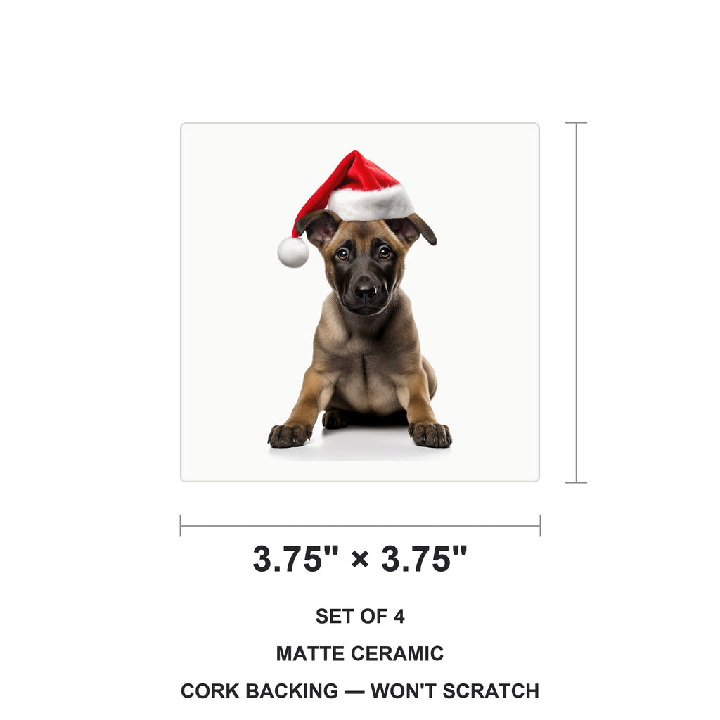 Belgian Malinois Puppy ceramic coasters set of 4, size 3.75 inches