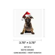 Belgian Malinois Puppy ceramic coasters set of 4, size 3.75 inches