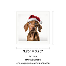 Vizsla Puppy ceramic coasters set of 4, size 3.75 inches