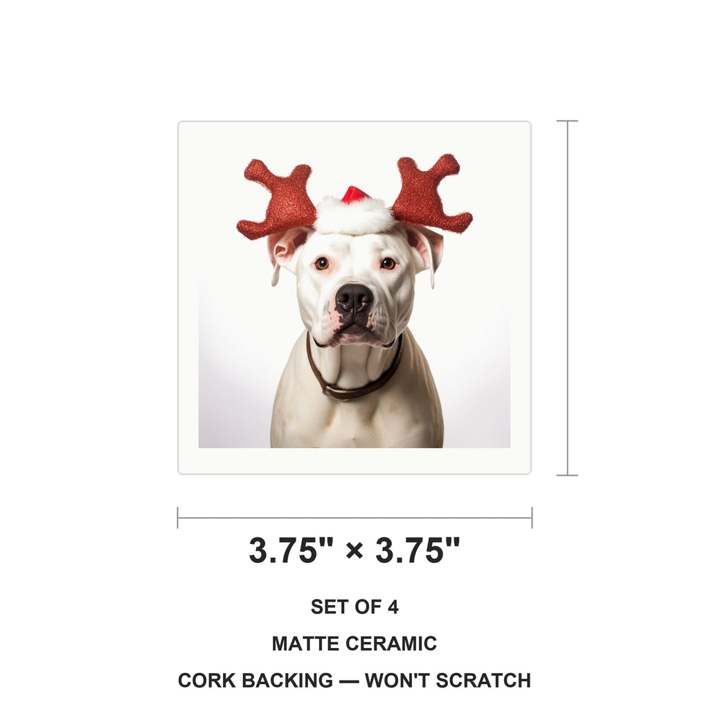 Dogo Argentino ceramic coasters set of 4, size 3.75 inches