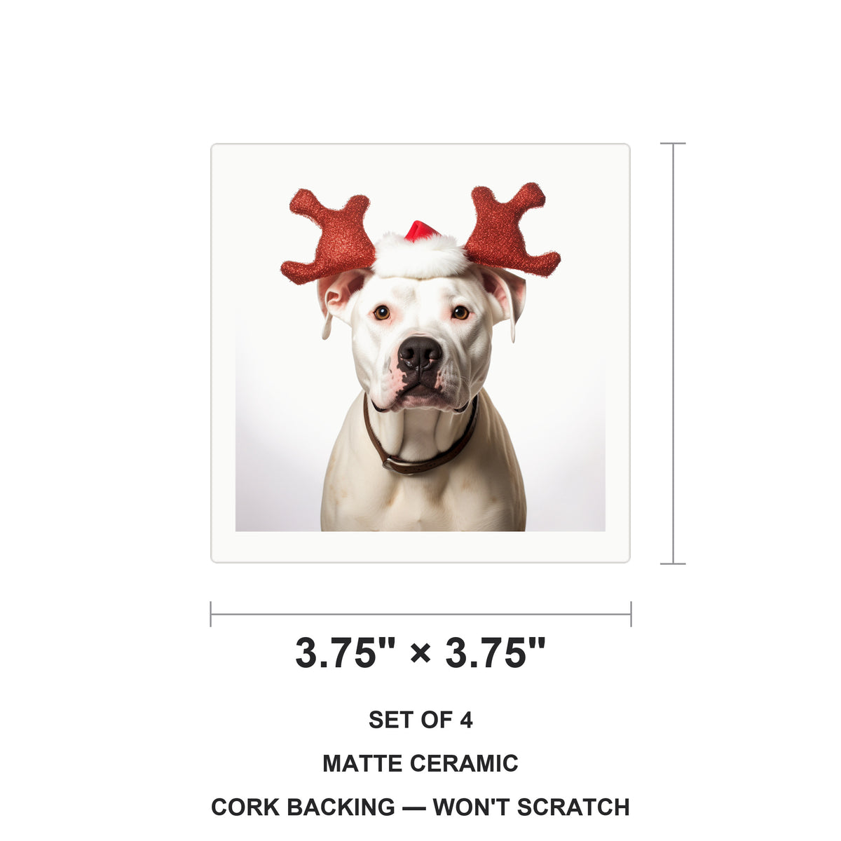 Dogo Argentino ceramic coasters set of 4, size 3.75 inches