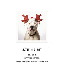 Dogo Argentino ceramic coasters set of 4, size 3.75 inches