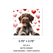 Wirehaired Pointing Griffon ceramic coasters set of 4, size 3.75 inches
