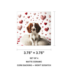 Welsh Springer Spaniel ceramic coasters set of 4, size 3.75 inches