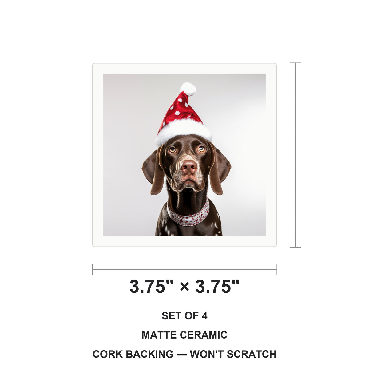 German Shorthaired Pointer ceramic coasters set of 4, size 3.75 inches