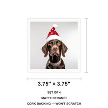 German Shorthaired Pointer ceramic coasters set of 4, size 3.75 inches