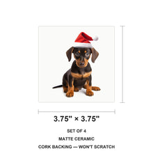 German Pinscher Puppy ceramic coasters set of 4, size 3.75 inches