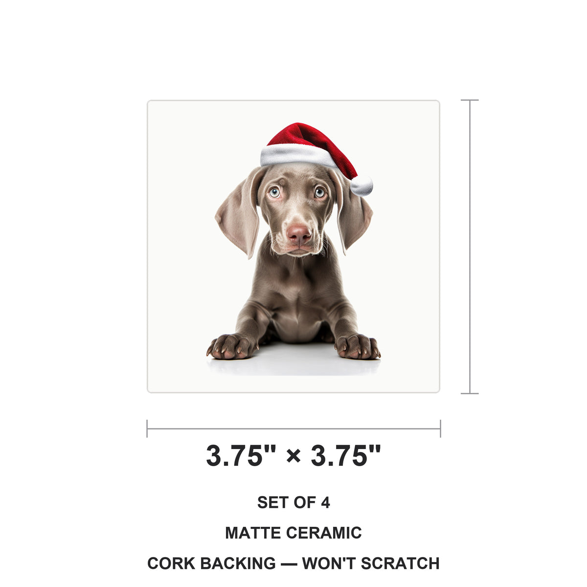 Weimaraner Puppy ceramic coasters set of 4, size 3.75 inches