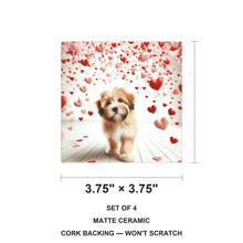 Havanese ceramic coasters set of 4, size 3.75 inches