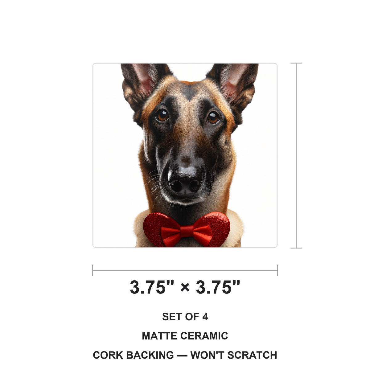 Belgian Malinois ceramic coasters set of 4, size 3.75 inches
