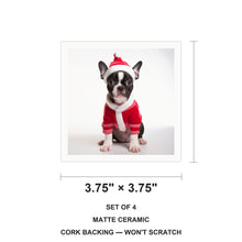 Boston Terrier Puppy ceramic coasters set of 4, size 3.75 inches