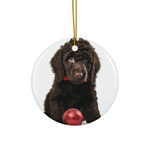 DistinctInk Hanging Ceramic Christmas Tree Ornament with Gold String - Great Gift/Present - 2 3/4 inch Diameter - Irish Water Spaniel Puppy Design