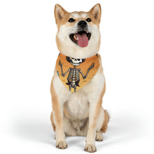 DistinctInk Adjustable Pet Banana Collar with Skelefun Halloween Design for Halloween