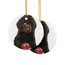 DistinctInk Hanging Ceramic Christmas Tree Ornament with Gold String - Great Gift/Present - 2 3/4 inch Diameter - Irish Water Spaniel Puppy Design
