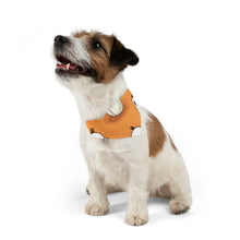 DistinctInk Adjustable Pet Banana Collar with Ghastly Skeleton Pumpkin adorned Design for Halloween