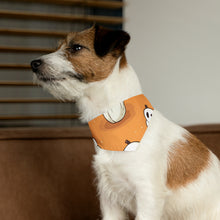 DistinctInk Adjustable Pet Banana Collar with Ghastly Skeleton Pumpkin adorned Design for Halloween