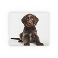 Mouse Pad - German Wirehaired Pointer Puppy