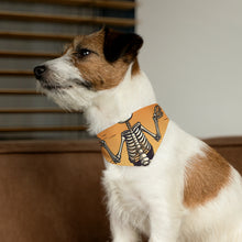 DistinctInk Adjustable Pet Banana Collar with Skelefun Halloween Design for Halloween