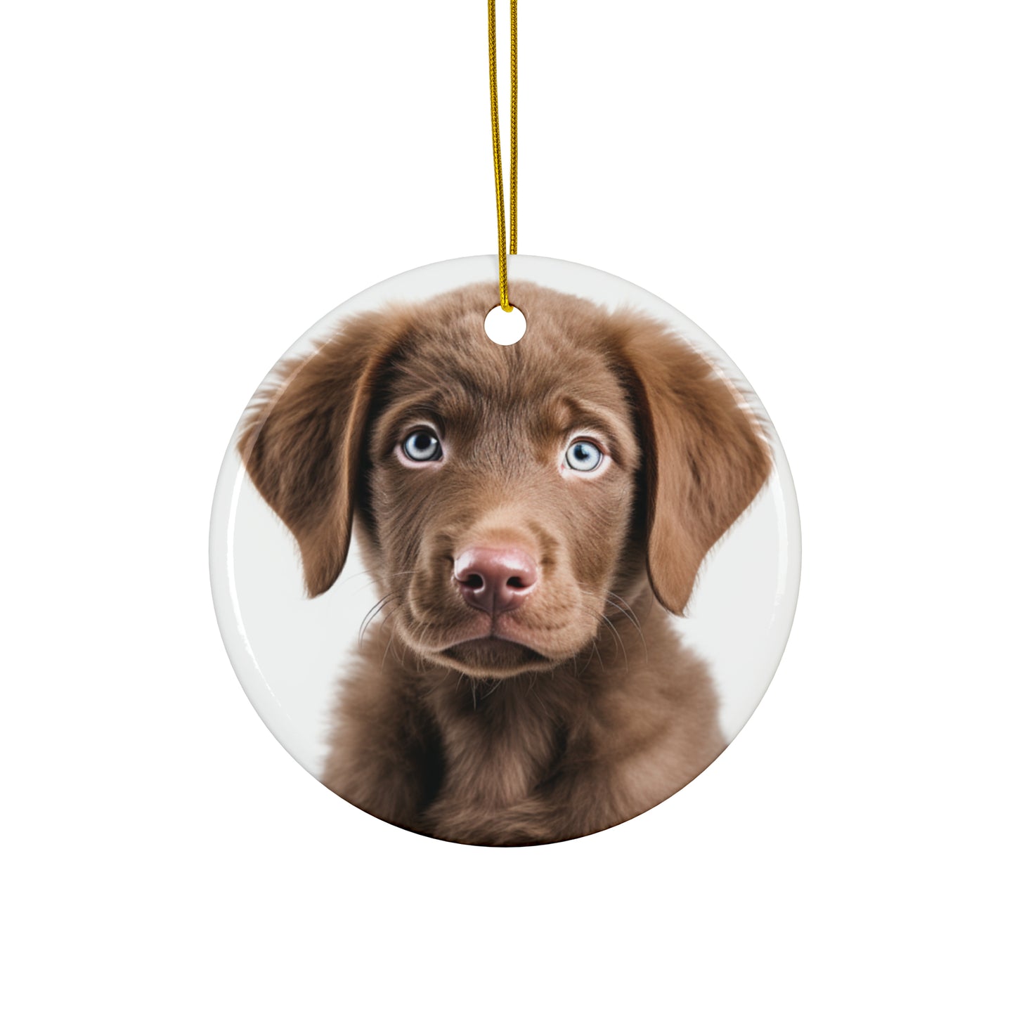 DistinctInk Hanging Ceramic Christmas Tree Ornament with Gold String - Great Gift/Present - 2 3/4 inch Diameter - Chesapeake Bay Retriever Puppy Design