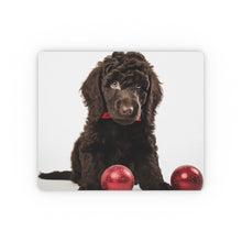 DistinctInk Mouse Pad - 1/4" Foam Rubber - Irish Water Spaniel Puppy