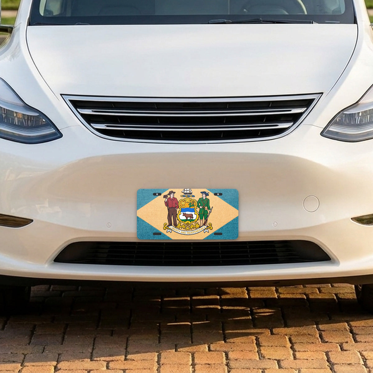 Delaware State Flag aluminum front license plate
