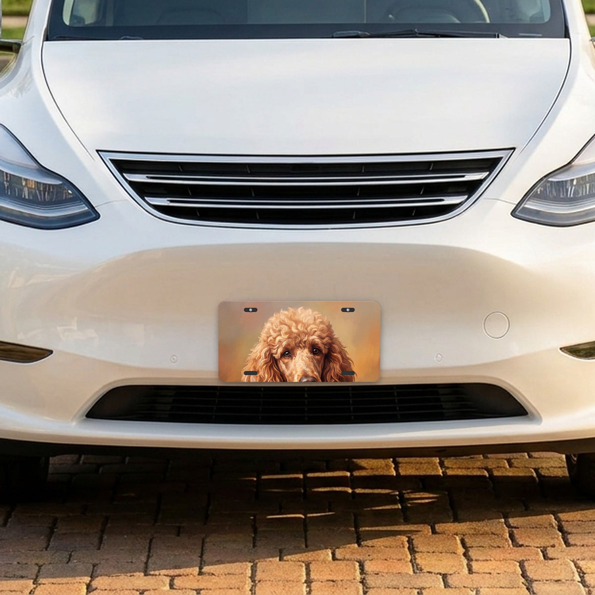 Poodle Portrait aluminum front license plate