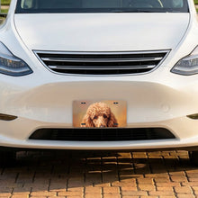 Poodle Portrait aluminum front license plate
