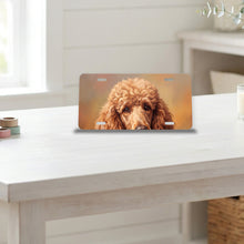 Poodle Portrait aluminum front license plate