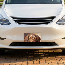 Dachshund Portrait aluminum front license plate