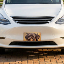 Rottweiler Portrait aluminum front license plate