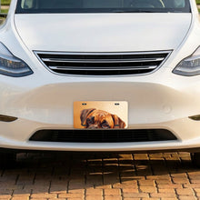 Boxer Portrait aluminum front license plate