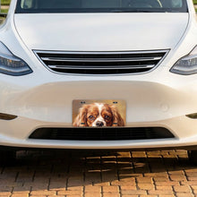 Cavalier King Charles Spaniel Portrait aluminum front license plate