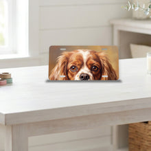 Cavalier King Charles Spaniel Portrait aluminum front license plate