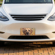 Great Dane Portrait aluminum front license plate