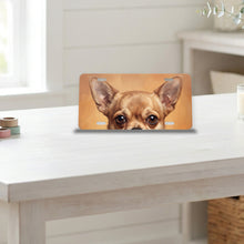 Chihuahua Portrait aluminum front license plate
