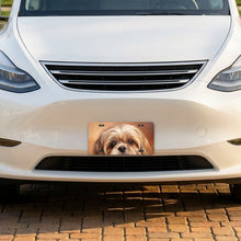 Shih Tzu Portrait aluminum front license plate