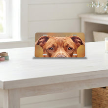 Pit Bull Portrait aluminum front license plate