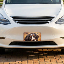 Bernese Mountain Dog Portrait aluminum front license plate