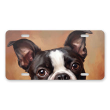 Boston Terrier Portrait aluminum front license plate