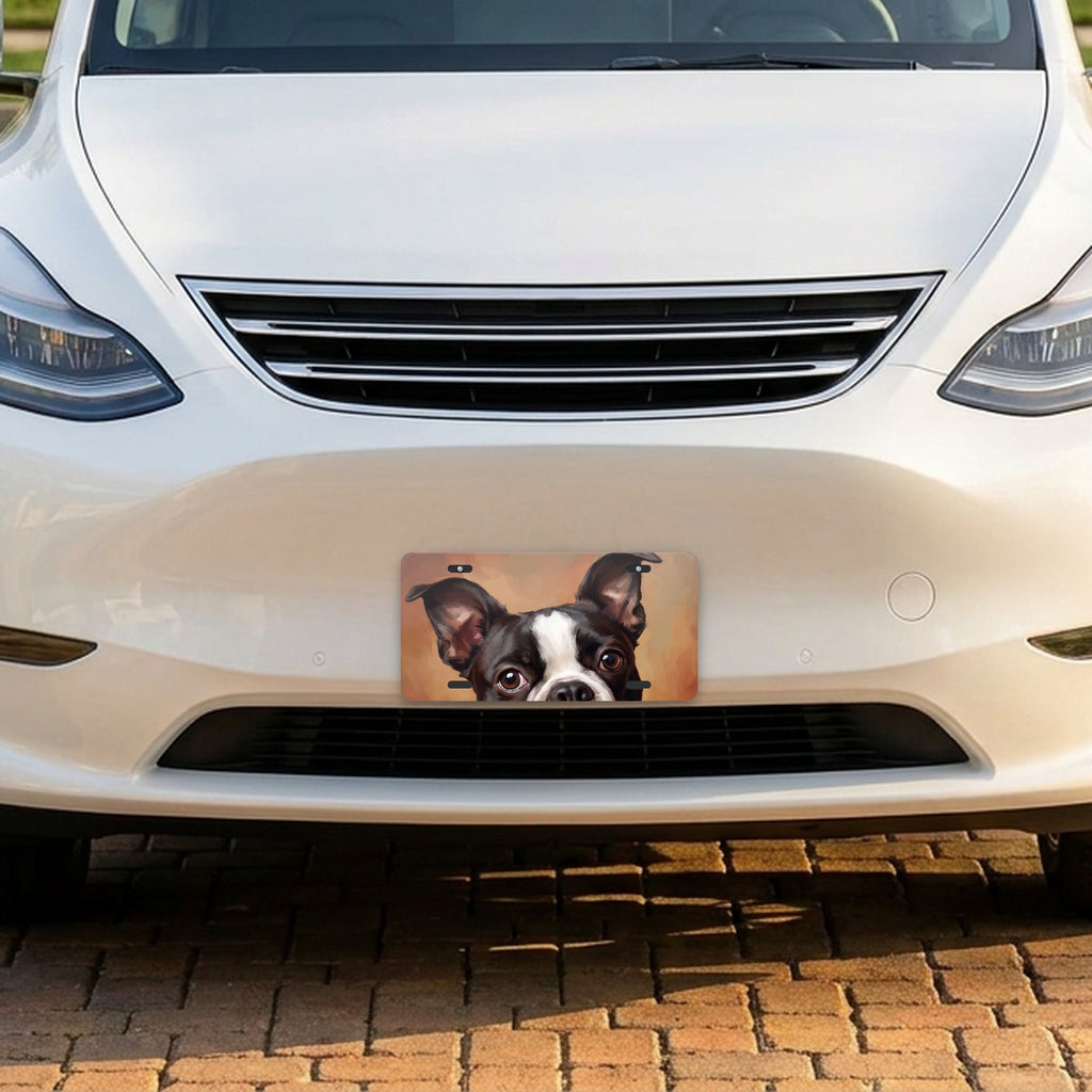 Boston Terrier Portrait aluminum front license plate