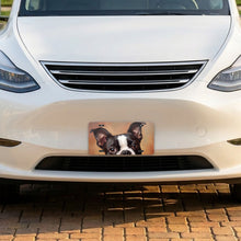Boston Terrier Portrait aluminum front license plate