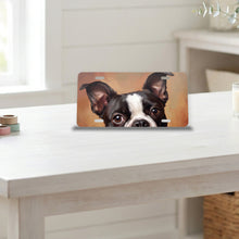 Boston Terrier Portrait aluminum front license plate