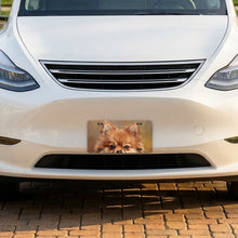 Pomeranian Portrait aluminum front license plate