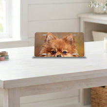 Pomeranian Portrait aluminum front license plate