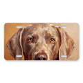 Weimaraner Portrait aluminum front license plate