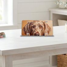 Weimaraner Portrait aluminum front license plate