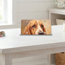 Basset Hound Portrait aluminum front license plate