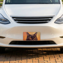 Black Cat Portrait aluminum front license plate