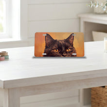 Black Cat Portrait aluminum front license plate