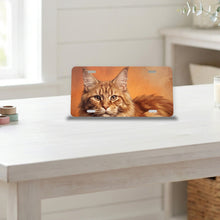 Maine Coon Cat Portrait aluminum front license plate